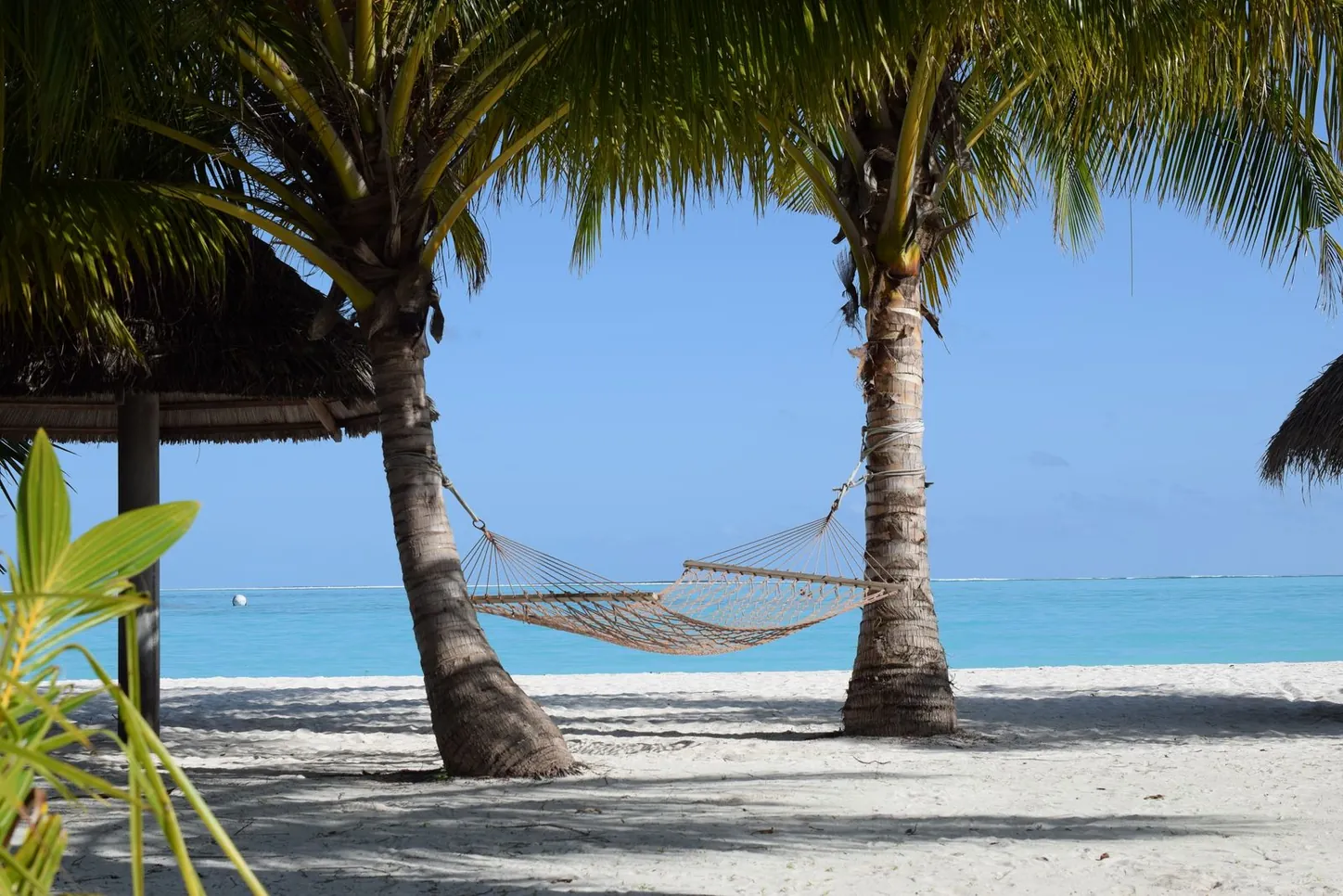 Hängematte zwischen Palmen am Strand